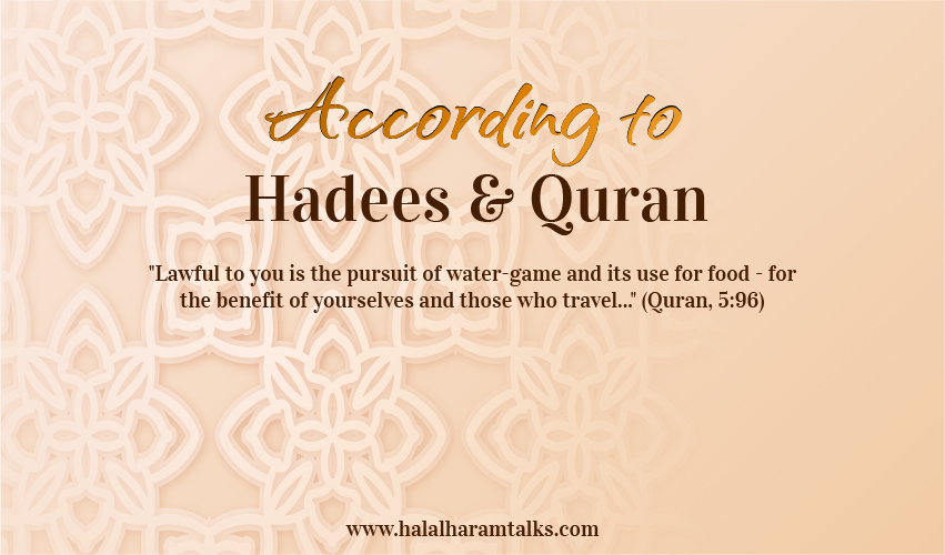 Is Haribo Halal Or Haram: According To Islam