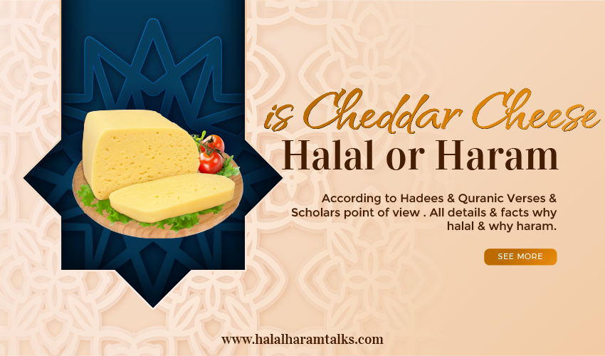 Is Cheddar Cheese Halal