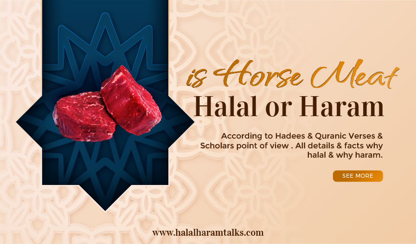 Is Horse Meat Halal or Haram