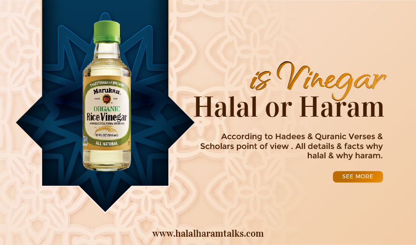 Is Vinegar Halal