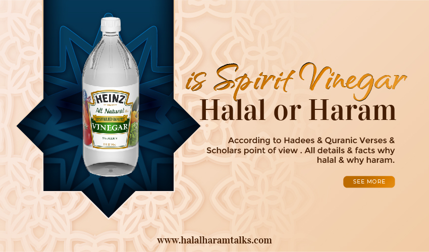 Is Spirit Vinegar Halal