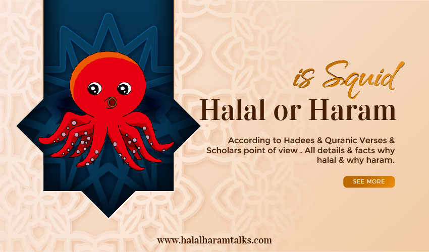 Is Squid Halal